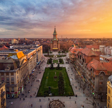 Licitații din Timiș